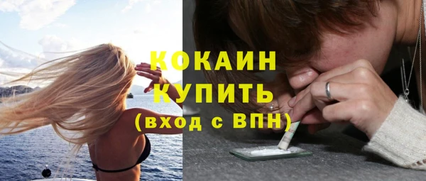 индика Краснотурьинск