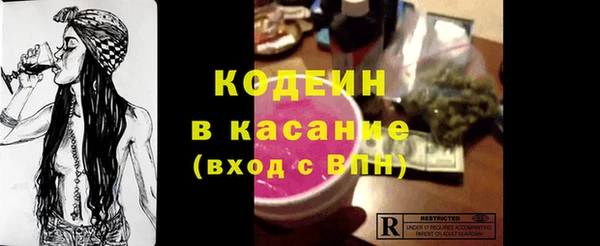 индика Краснотурьинск