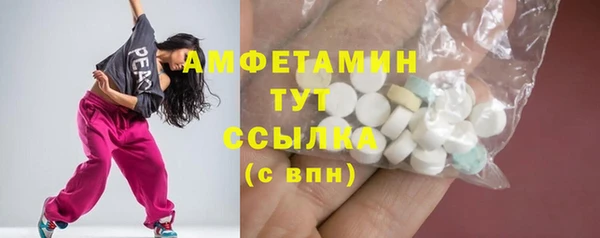 индика Краснотурьинск