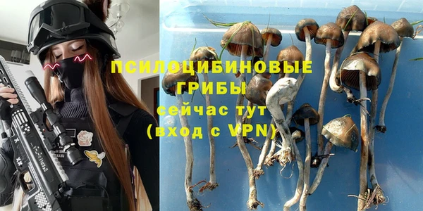 эйфоретик Абинск