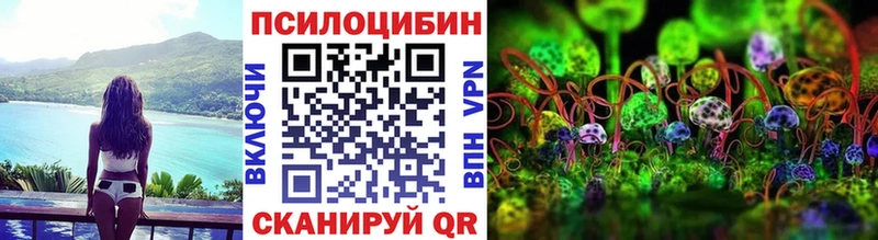ссылка на мегу ССЫЛКА  Якутск  Псилоцибиновые грибы мухоморы 